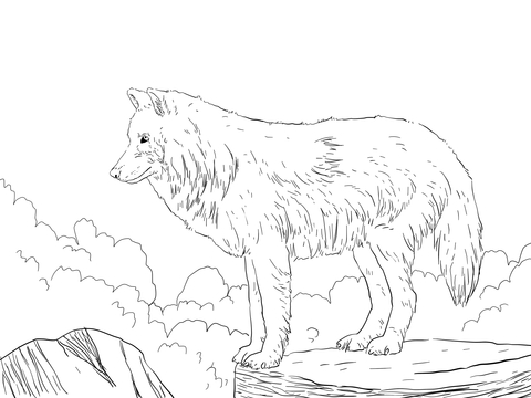 Arctic Snow Wolf Coloring Page